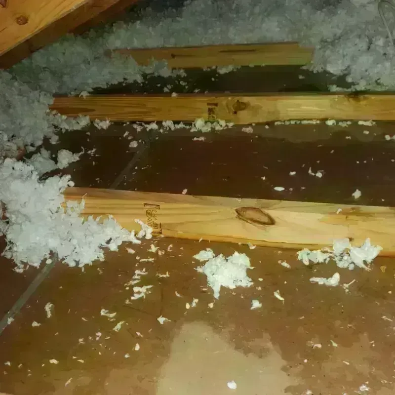 Attic Water Damage in Oakley, UT