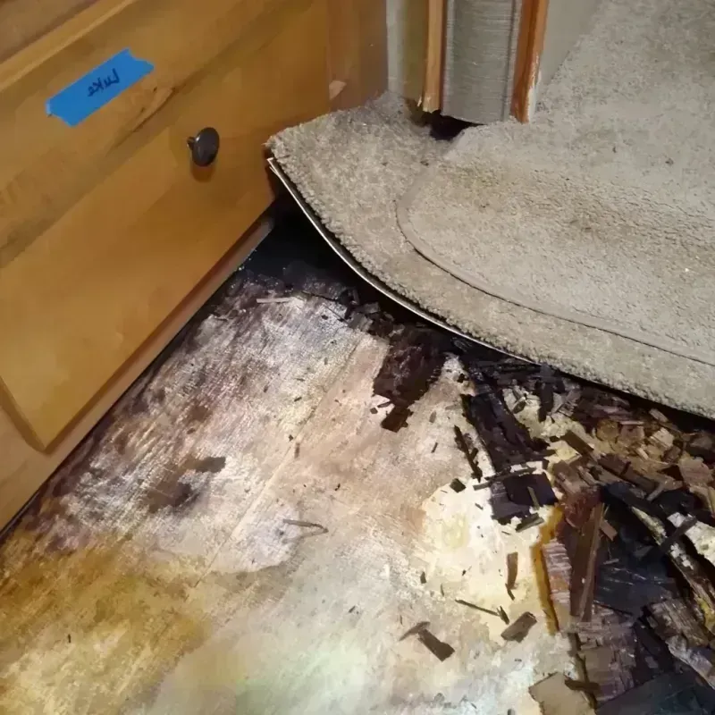 Wood Floor Water Damage in Oakley, UT